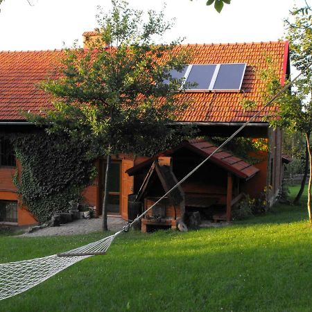 Agroturystyka Zacisze Czarna Owca Brzezanka Ngoại thất bức ảnh