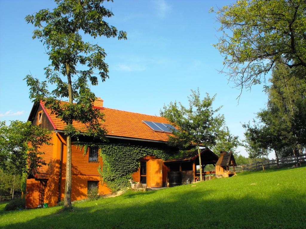 Agroturystyka Zacisze Czarna Owca Brzezanka Ngoại thất bức ảnh
