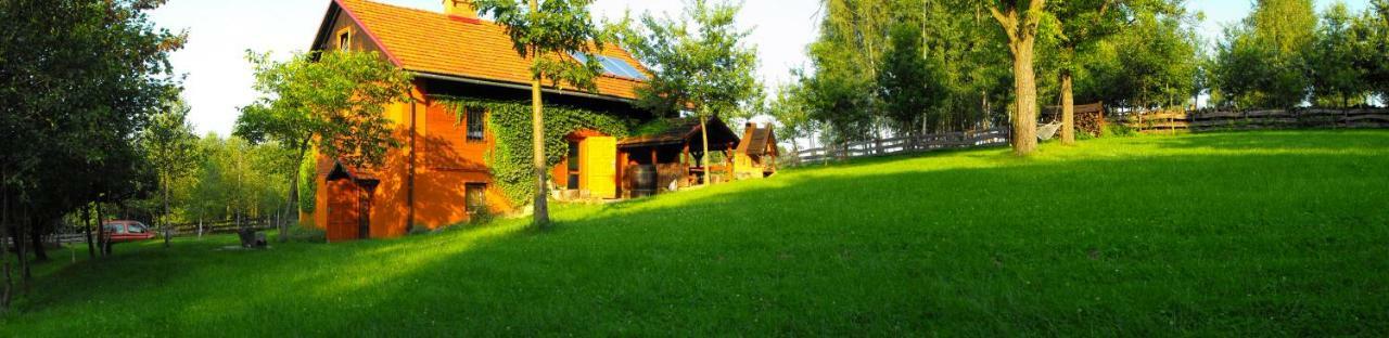 Agroturystyka Zacisze Czarna Owca Brzezanka Ngoại thất bức ảnh