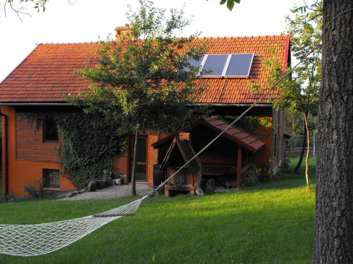Agroturystyka Zacisze Czarna Owca Brzezanka Ngoại thất bức ảnh