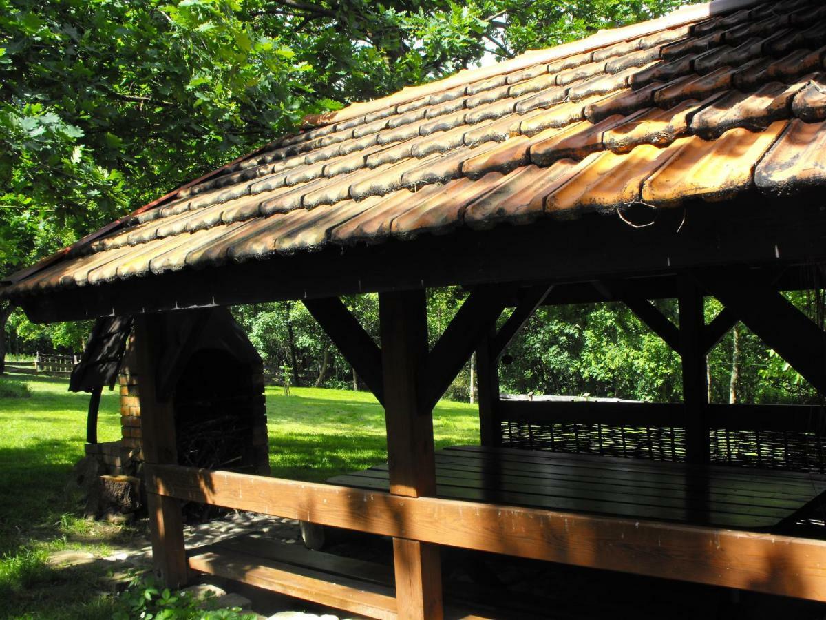 Agroturystyka Zacisze Czarna Owca Brzezanka Ngoại thất bức ảnh